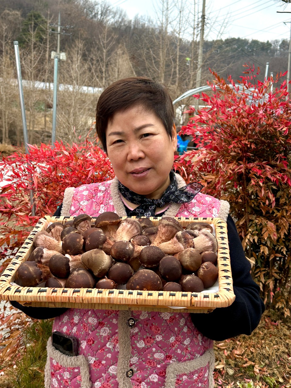 선물 가치 이미지